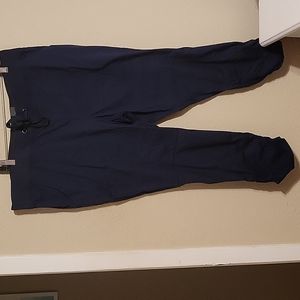 Torrid Navy Pants